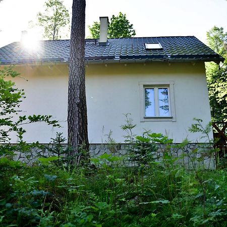 Gorski Domek Kolo Karpacza- Apartamentuj Eksteriør bilde