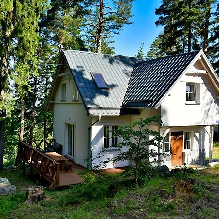 Gorski Domek Kolo Karpacza- Apartamentuj Eksteriør bilde