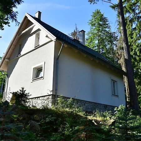 Gorski Domek Kolo Karpacza- Apartamentuj Eksteriør bilde