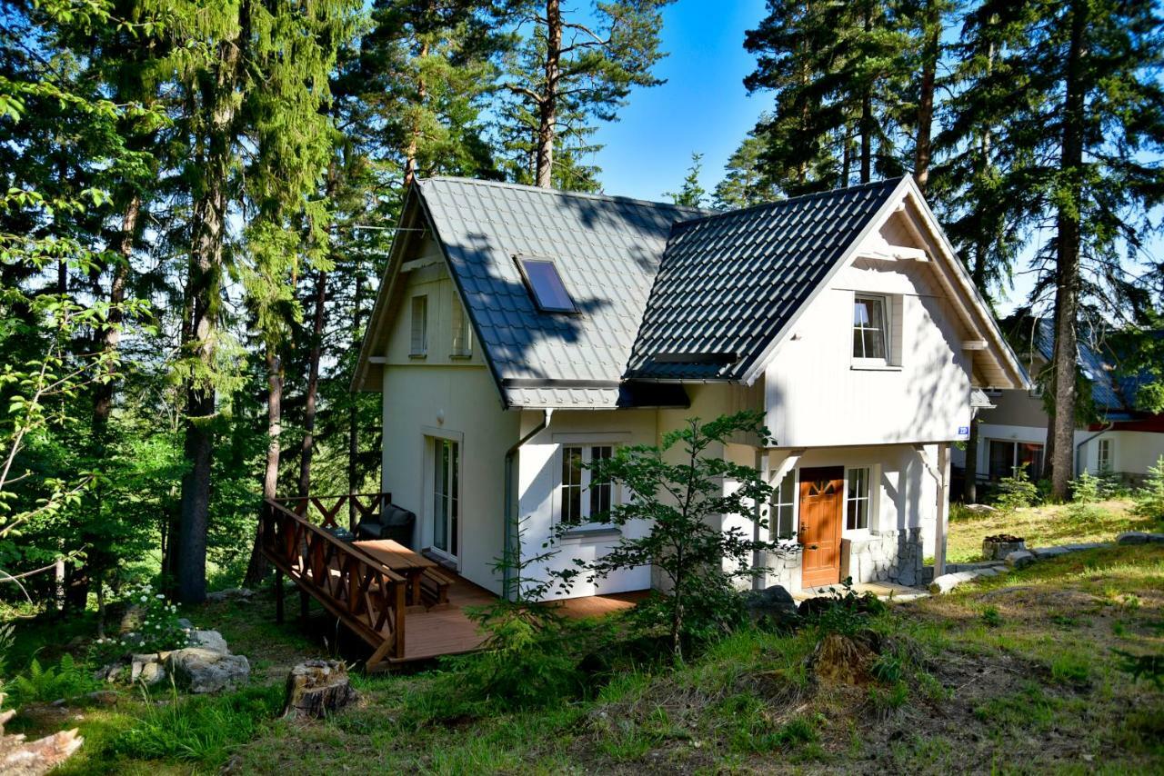 Gorski Domek Kolo Karpacza- Apartamentuj Eksteriør bilde