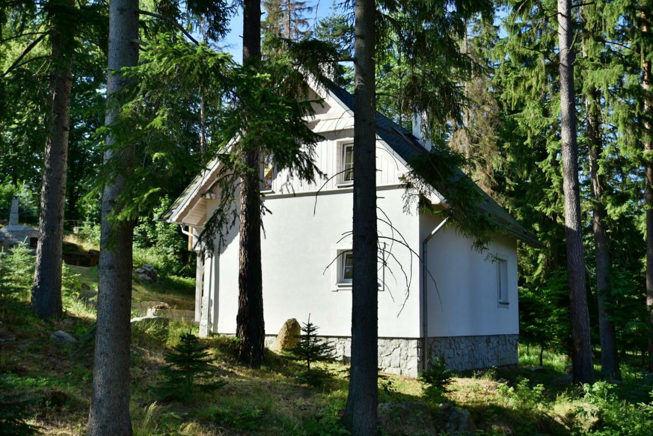 Gorski Domek Kolo Karpacza- Apartamentuj Eksteriør bilde