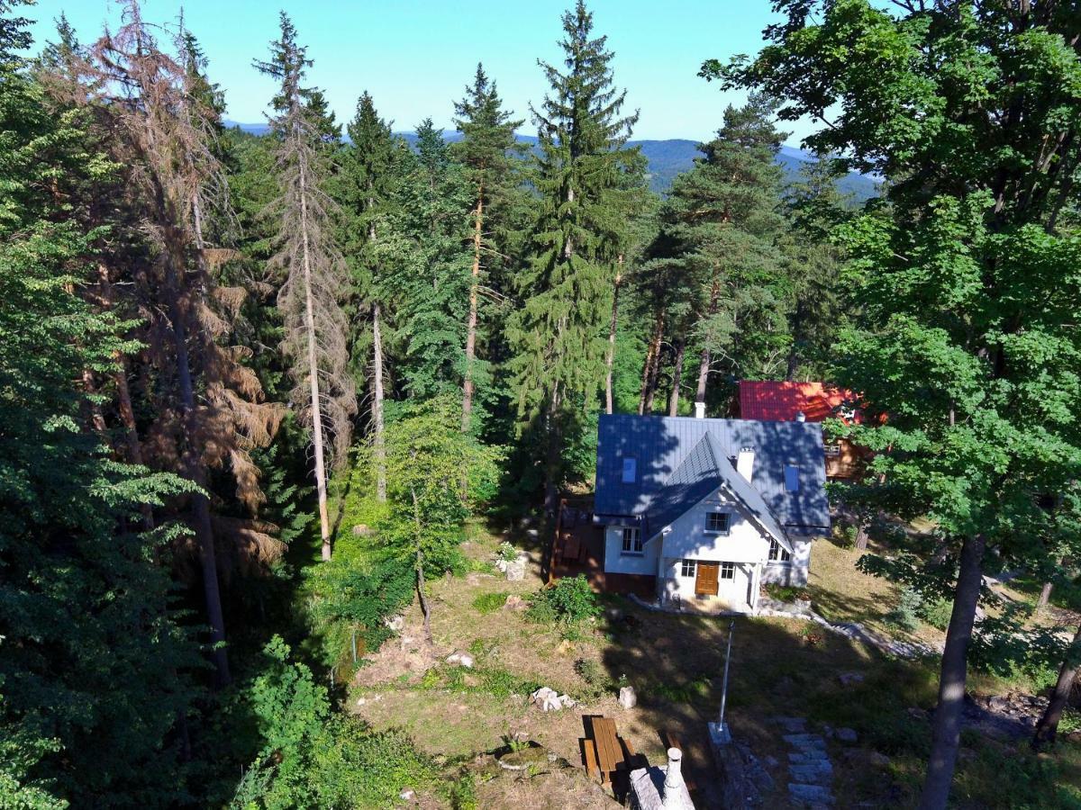 Gorski Domek Kolo Karpacza- Apartamentuj Eksteriør bilde